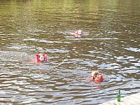 100_7471.jpg