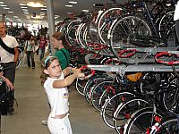 DSC00392.jpg