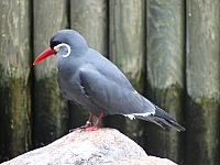 DSC01379.jpg