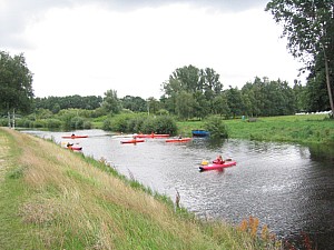 IMG_3560.jpg