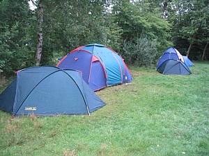 IMG_3686.jpg