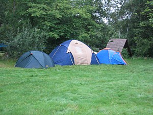 IMG_3687.jpg