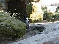 P1010741.jpg