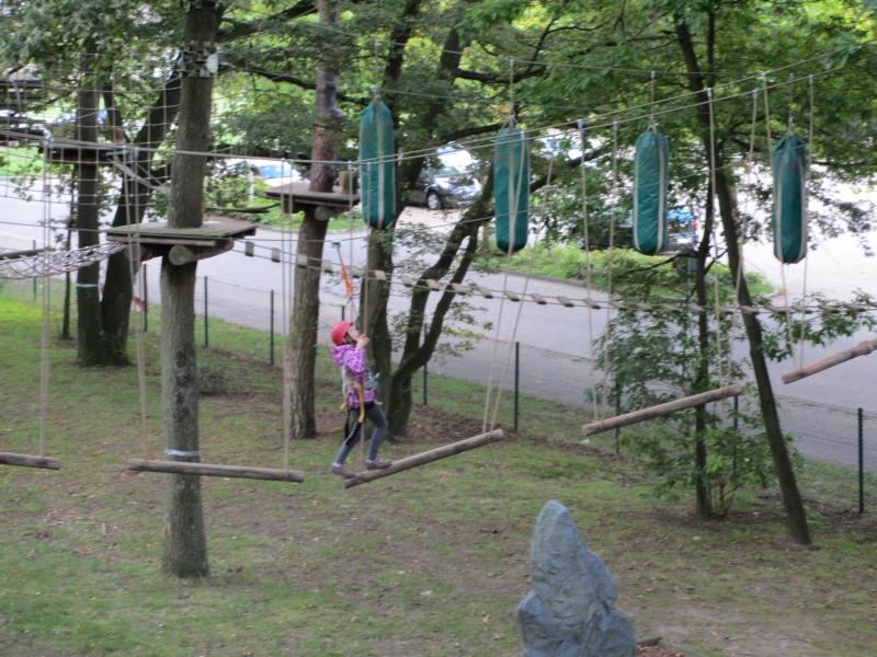 IMG_1616.jpg