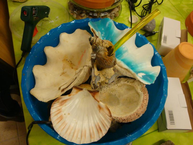 DSC06340.jpg