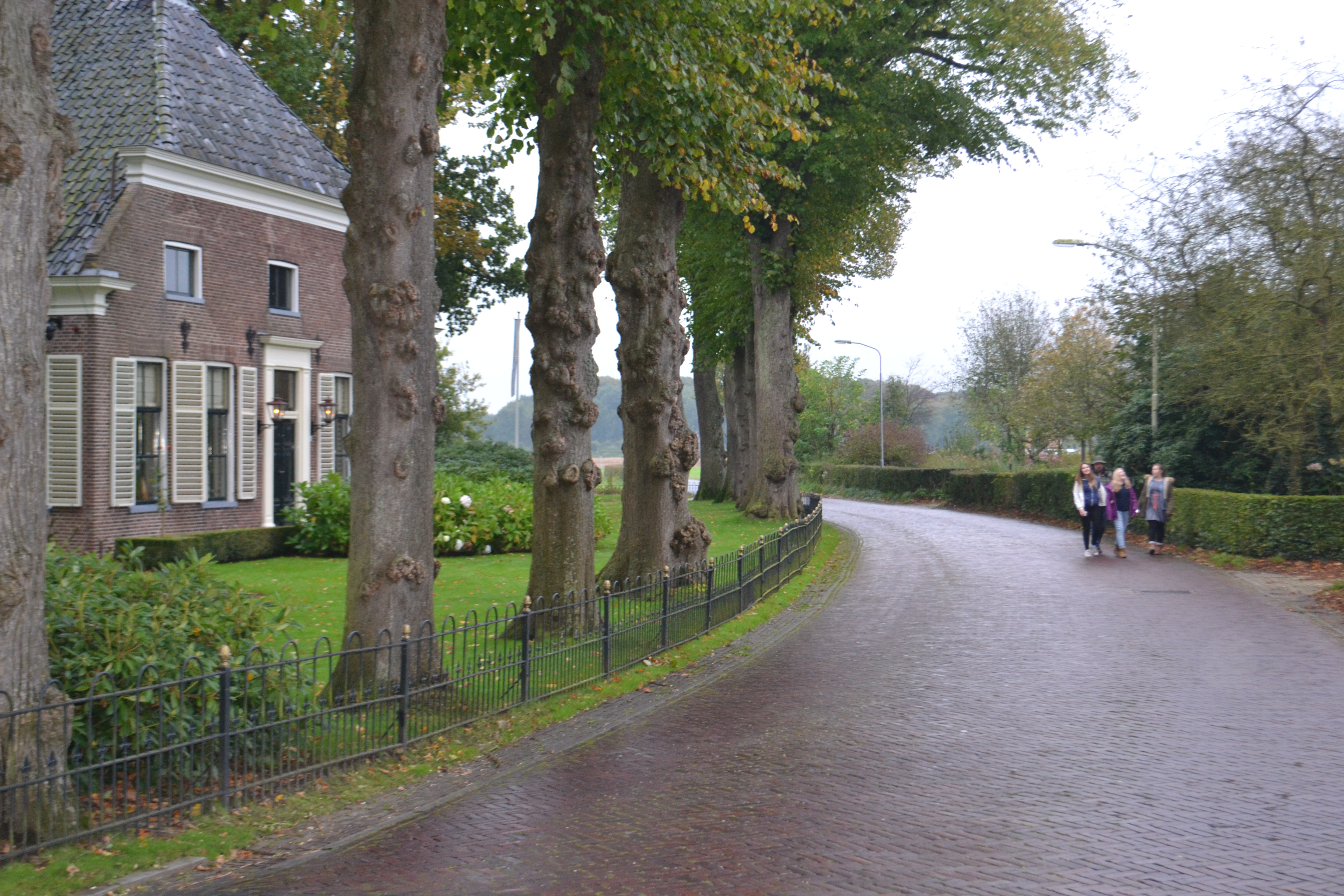 DSC_3112.JPG