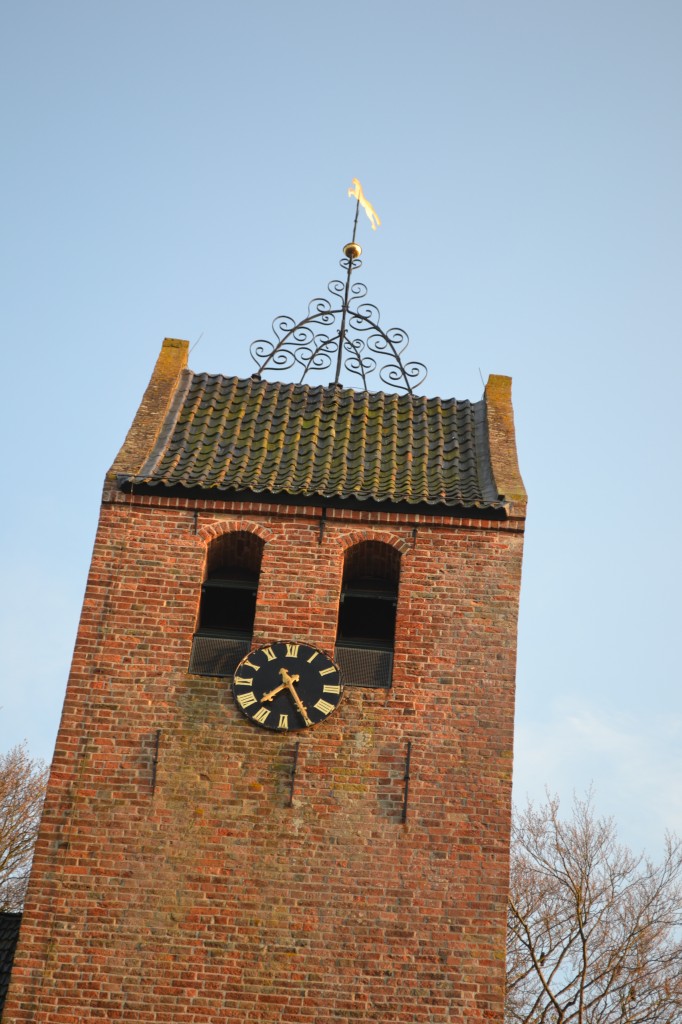 DSC_0091.jpg