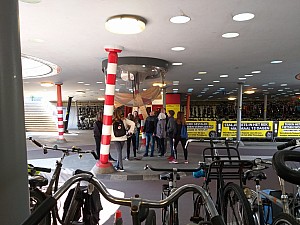20190411_110242.jpg