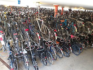20190411_110631.jpg