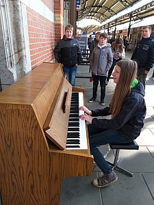 20190411_111155.jpg