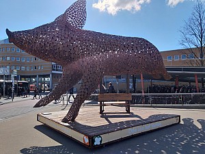20190411_112307.jpg