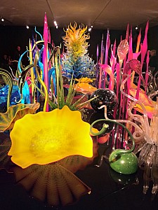 20190411_114431.jpg