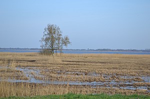 DSC_0013.jpg