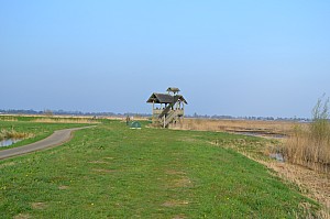 DSC_0016.jpg
