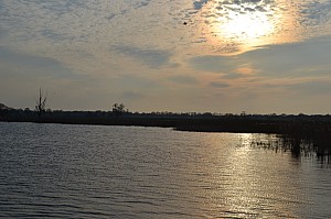 DSC_0053.jpg