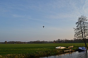 DSC_0081.jpg