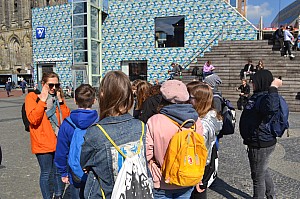 DSC_0113.jpg