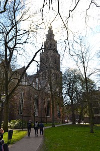 DSC_0123.jpg