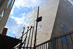 DSC_0141.jpg