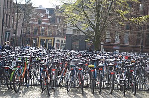 DSC_0165.jpg