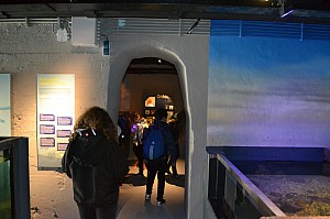 DSC_0178.jpg