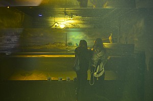 DSC_0203.jpg