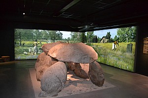 DSC_0237.jpg