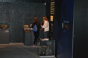 DSC_0240.jpg