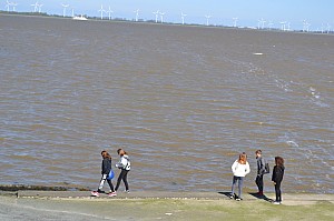 DSC_0329.jpg