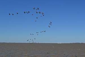DSC_0331.jpg
