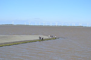 DSC_0338.jpg