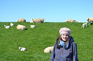 DSC_0361.jpg