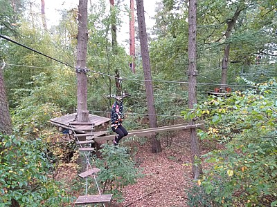20201020_151350(0).jpg