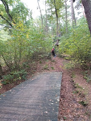 20201020_151622.jpg