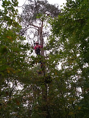 20201020_151939(0).jpg