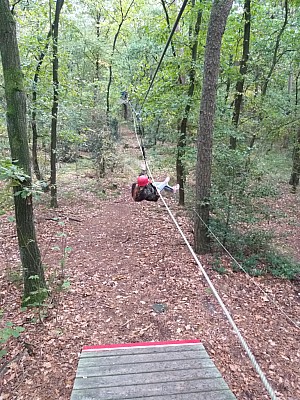 20201020_152840.jpg