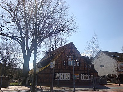 DSC07934.jpg