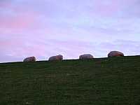 DSC00468.jpg