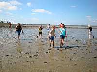 DSC00575.jpg