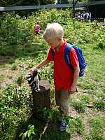 DSC00745.jpg