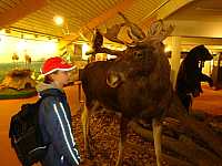 DSC01707.jpg