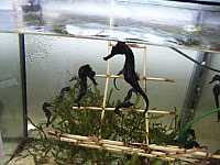 PICT0024.jpg