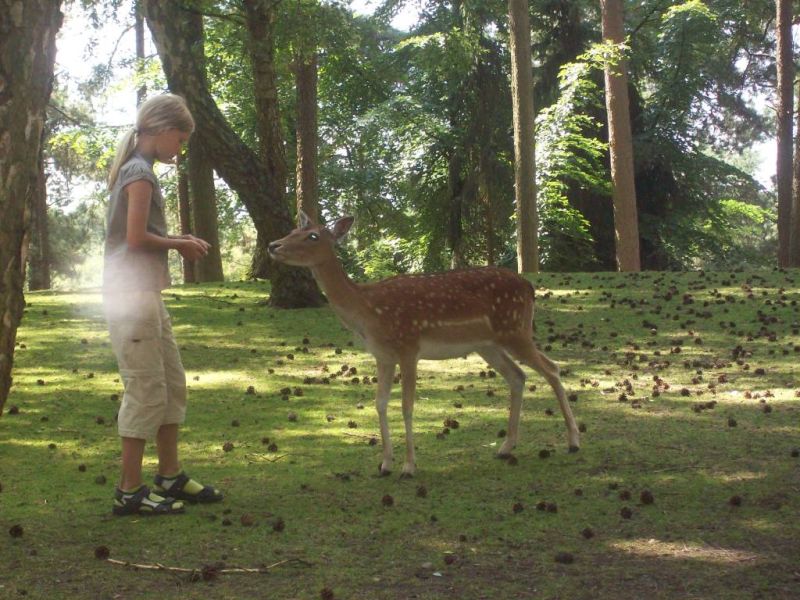 100_7232.jpg