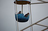 DSC_0017.jpg