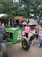 DSC01931.jpg
