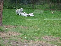 DSC01966.jpg
