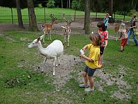 DSC04602.jpg
