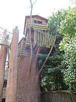 IMG_0679.jpg
