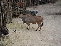 DSC07486.jpg