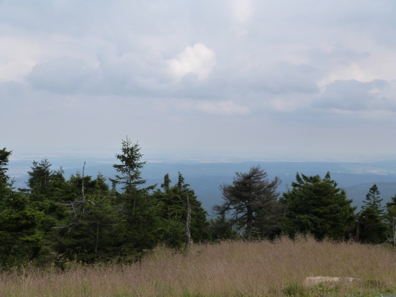 P1050026.jpg